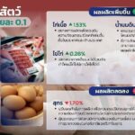 จีดีพีเกษตร ไตรมาส 1 ทิศทางสดใส เติบโตร้อยละ 3 คาดทั้งปี ขยายตัวร้อยละ 1.8 - 2.8