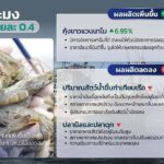 จีดีพีเกษตร ไตรมาส 1 ทิศทางสดใส เติบโตร้อยละ 3 คาดทั้งปี ขยายตัวร้อยละ 1.8 - 2.8