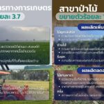 จีดีพีเกษตร ไตรมาส 1 ทิศทางสดใส เติบโตร้อยละ 3 คาดทั้งปี ขยายตัวร้อยละ 1.8 - 2.8