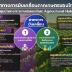 จีดีพีเกษตร ไตรมาส 1 ทิศทางสดใส เติบโตร้อยละ 3 คาดทั้งปี ขยายตัวร้อยละ 1.8 - 2.8