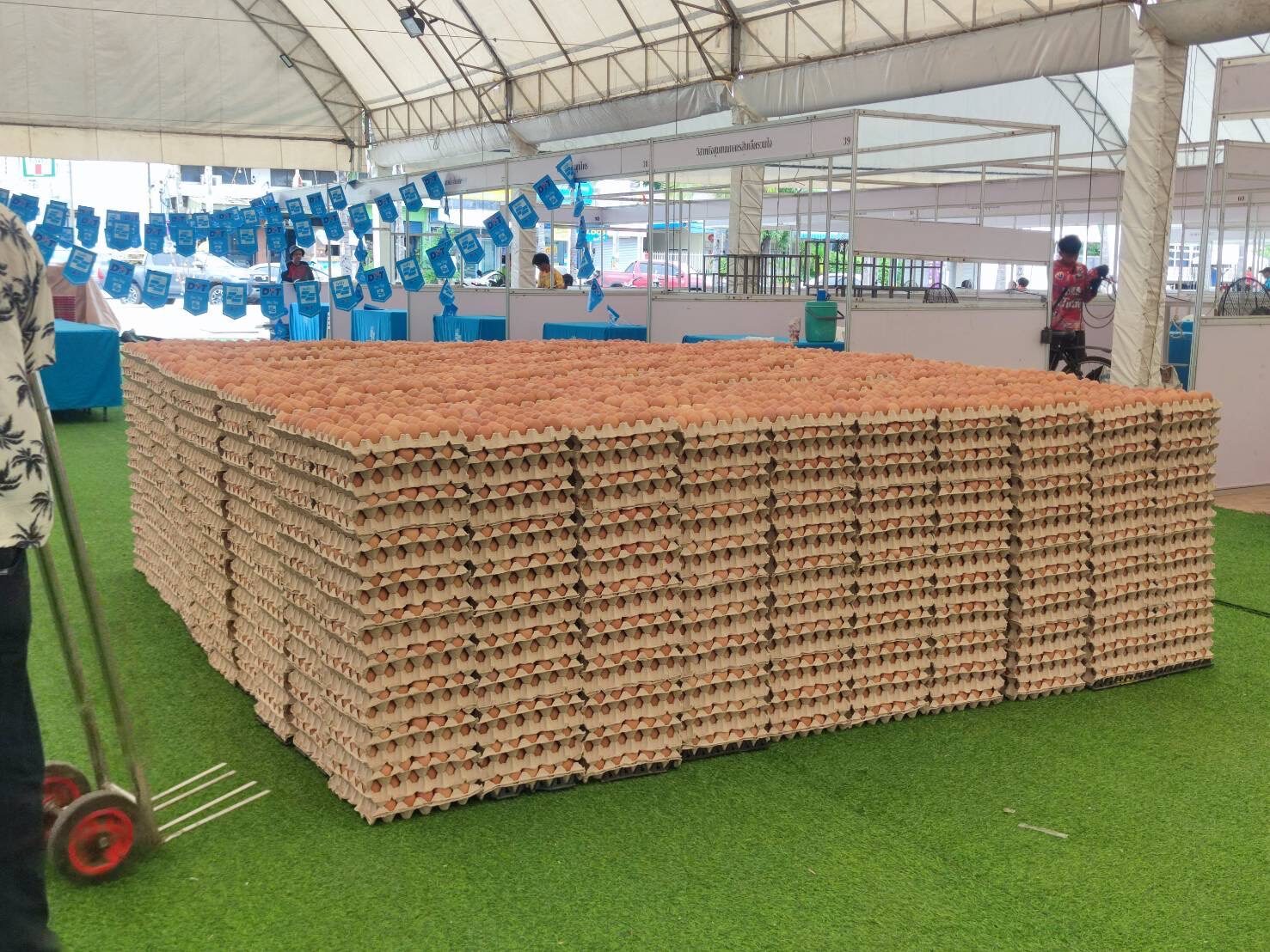 .พาณิชย์ ยันไข่ไก่เพียงพอต่อความต้องการ ราคาอยู่ในเกณฑ์ที่กำกับดูแล.