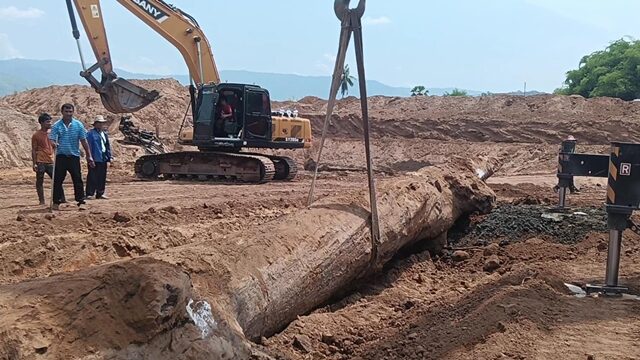 ฮือฮา แบคโฮขุดบ่อ พบ ต้นตะเคียนยักษ์ อายุกว่า 1,000 ปี ร่างทรงทำพิธีเชิญ บอกชื่อ "เจ้าแม่งามทอง" แห่ส่องเลขเด็ดได้เน้น ๆ ตรงกับเลขธูป ไม่พลาดทะเบียนรถ