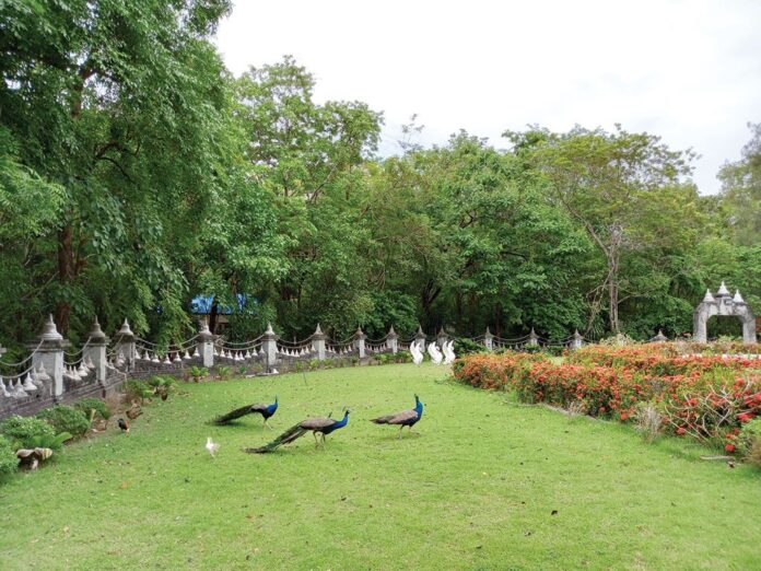 เที่ยววัดวันหยุด - เยือน‘วัดประชาคมวนาราม’ ไหว้‘มหาเจดีย์หินบุโรพุทโธ’
