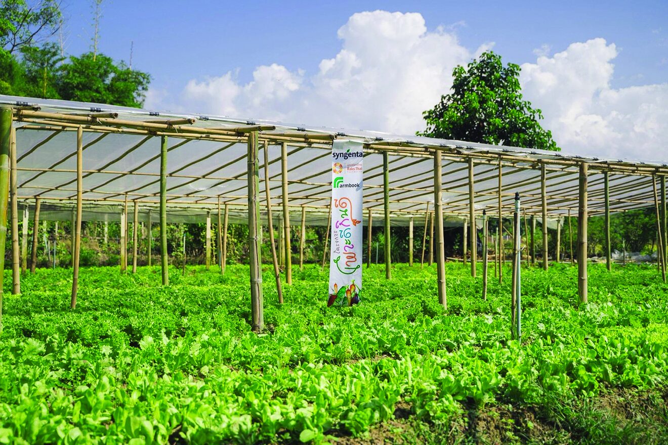 หลาก&หลายเกษตร - ซินเจนทาลุย‘เพาะดีกินดี’ปี 2 ติดอาวุธทางปัญญาเกษตรกรสู้โลกยุคใหม่ 