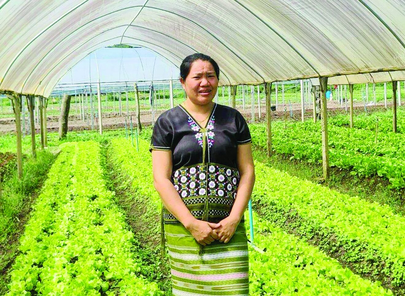 หลาก&หลายเกษตร - ซินเจนทาลุย‘เพาะดีกินดี’ปี 2 ติดอาวุธทางปัญญาเกษตรกรสู้โลกยุคใหม่ 
