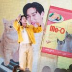 ทาสแมวใจละลาย! 'Me-O' เปิดตัวพรีเซนเตอร์คนล่าสุด 'บิวกิ้น - พุฒิพงศ์ อัสสรัตนกุล'