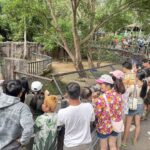 สงกรานต์สวนสัตว์เปิดเขาเขียว คึกคักแห่ชม 'น้องหมูเด้ง' วัย 9 เดือน ขวัญใจคนทั้งโลก