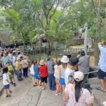 สงกรานต์สวนสัตว์เปิดเขาเขียว คึกคักแห่ชม 'น้องหมูเด้ง' วัย 9 เดือน ขวัญใจคนทั้งโลก