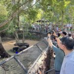 สงกรานต์สวนสัตว์เปิดเขาเขียว คึกคักแห่ชม 'น้องหมูเด้ง' วัย 9 เดือน ขวัญใจคนทั้งโลก