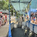 สงกรานต์สวนสัตว์เปิดเขาเขียว คึกคักแห่ชม 'น้องหมูเด้ง' วัย 9 เดือน ขวัญใจคนทั้งโลก