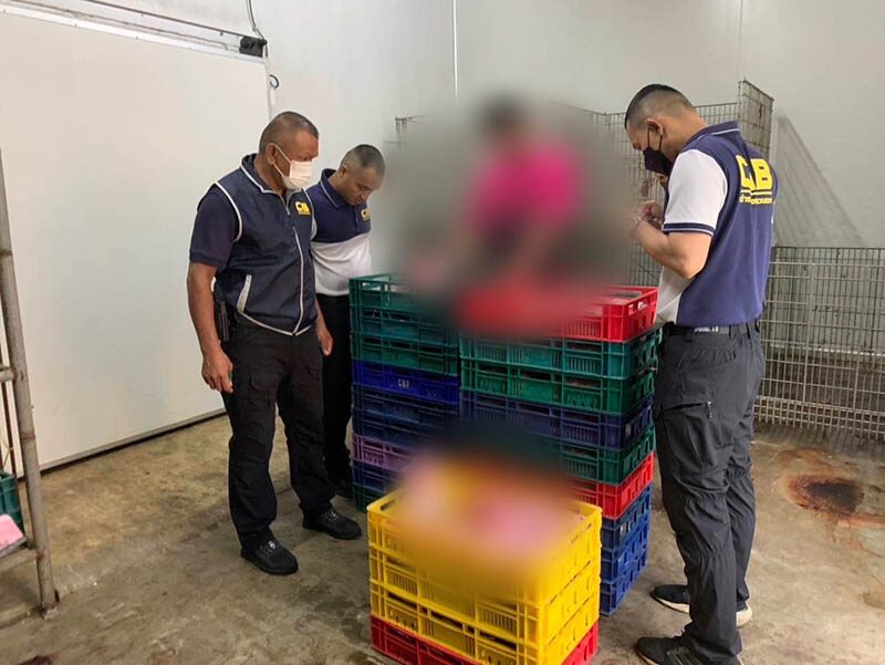 Thai police raid uncovers illegal pork carcasses in Pathum Thani | News by Thaiger