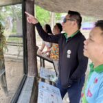 สวนสัตว์เขาเขียว ปลื้ม! ขยายพันธุ์สำเร็จ 'ลูกค่างห้าสี' ตัวที่ 3 สัตว์ป่าใกล้สูญพันธุ์