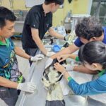 ร่วมสร้างอนาคตให้ การศึกษาวิจัยนกกาฮัง-ฟื้นฟูความหลากหลายทางชีวภาพ