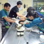 ร่วมสร้างอนาคตให้ การศึกษาวิจัยนกกาฮัง-ฟื้นฟูความหลากหลายทางชีวภาพ