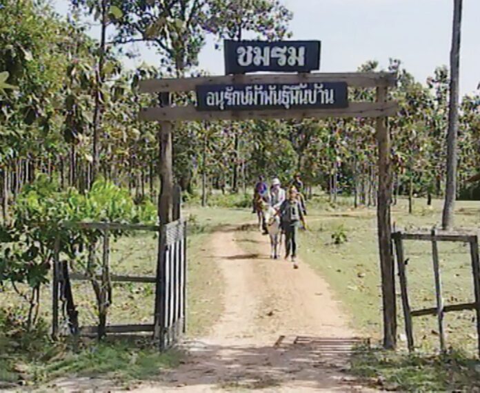 สดจากเยาวชน