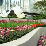 หนีร้อนมาสดชื่น! ดื่มด่ำโลกแห่งดอกไม้สุดแฟนตาซี ‘Wondrous Bloom’ ที่ระยอง เข้าชมฟรี ถึง 31 พ.ค.