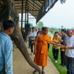 นาทีชีวิต แม่ช้างสวนนงนุชพัทยา ตกลูกครั้งแรกเกือบไม่รอด
