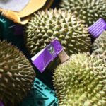 "นภินทร"รุกดันทุเรียนส่งออกจีน-ขีดเส้น7วันฟันนอมินีจีนสร้างตึกสตง.