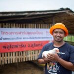 องค์กรพิทักษ์สัตว์แห่งโลกปฏิวัติการเลี้ยงไก่ไทยอย่างยั่งยืน