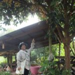 ชาวสวนโมโห หัวขโมยแอบปีนเด็ดมังคุด สูญหายหลายลัง สุดทนขึ้นป้ายเตือน ตายในสวนไม่รับผิดชอบ