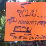 ชาวสวนโมโห หัวขโมยแอบปีนเด็ดมังคุด สูญหายหลายลัง สุดทนขึ้นป้ายเตือน ตายในสวนไม่รับผิดชอบ