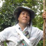 ชาวสวนโมโห หัวขโมยแอบปีนเด็ดมังคุด สูญหายหลายลัง สุดทนขึ้นป้ายเตือน ตายในสวนไม่รับผิดชอบ
