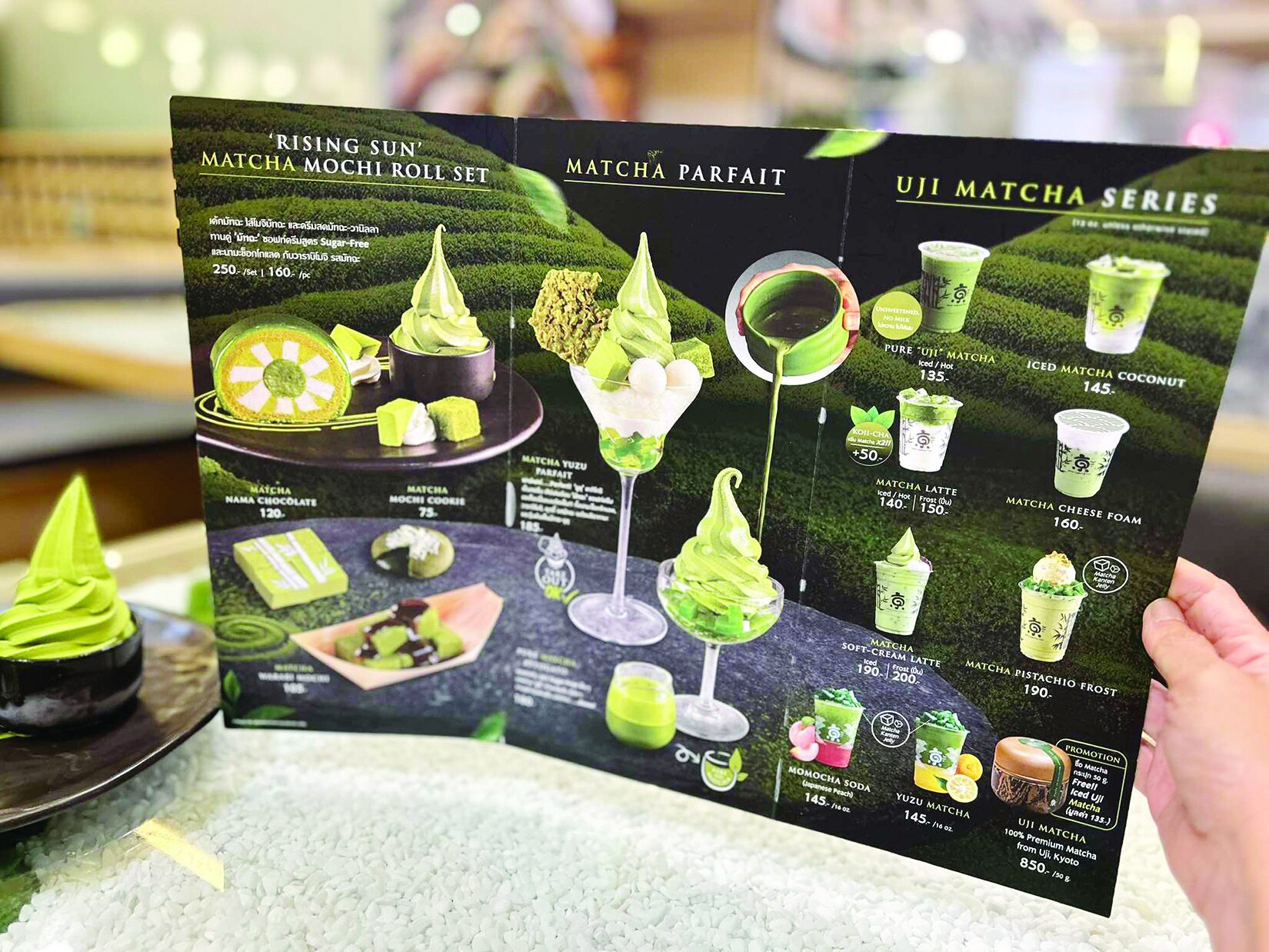 สวรรค์ในครัว - ร้าน Kyo Roll En เสิร์ฟเมนูมัตฉะแท้ไร่ญี่ปุ่น