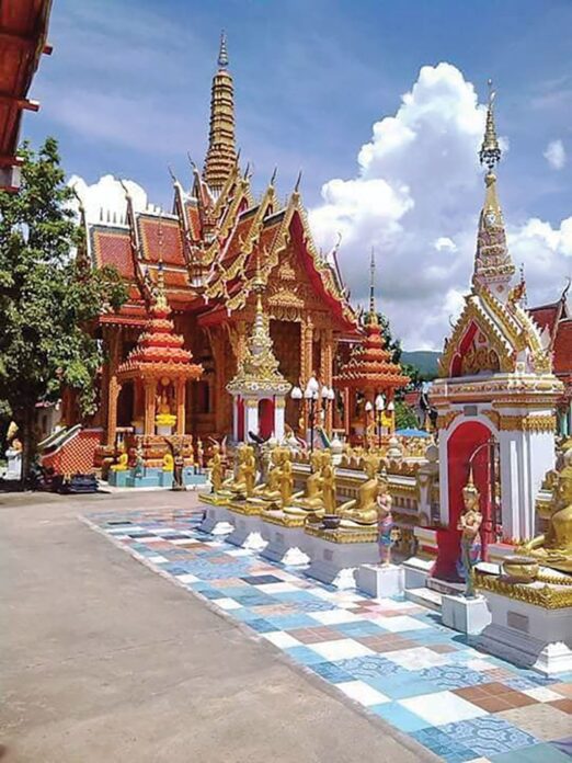 ชวนกันมาพากันมู(เตลู)