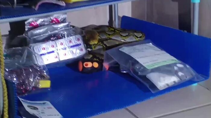Ayutthaya couple finds python in third-floor bedroom | News by Thaiger