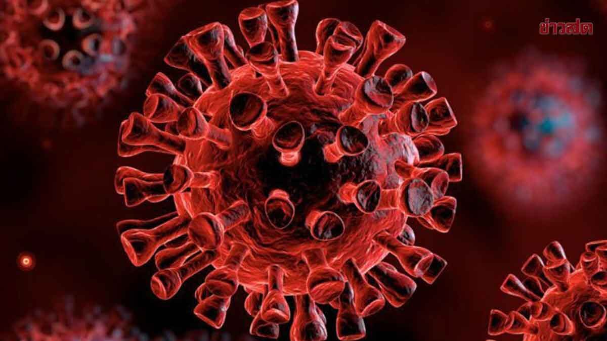 .โควิด-19 สายพันธุ์ XEC ระบาด เผย 21 สัปดาห์ เสียชีวิต 27 ราย ป่วยกว่าแสนคน.