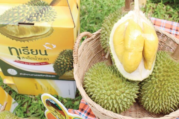 หลาก&หลายเกษตร