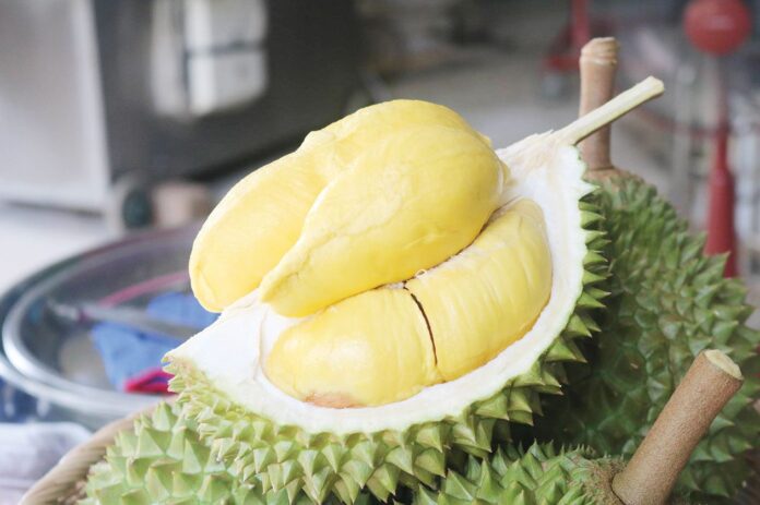 หลาก&หลายเกษตร