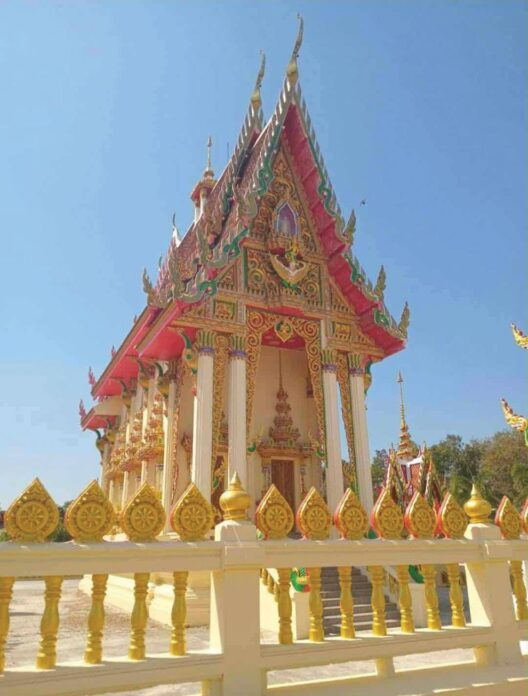 รายงานพิเศษ