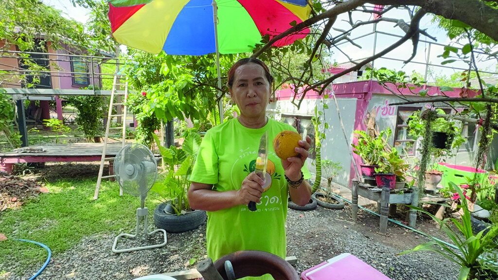 อิ่มอร่อย - ซานาดา แซ่บริมสวนคาเฟ่ เสิร์ฟ‘กระท้อนทองใบใหญ่’