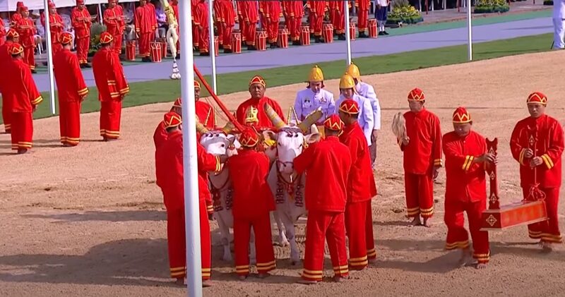 ผลเสี่ยงทาย พระโคพอ พระโคเพียง กินอะไร ในพระราชพิธีจรดพระนังคัลแรกนาขวัญ ปี 2568 เปิดคำพยากรณ์ เผย น้ำท่าจะบริบูรณ์พอสมควร