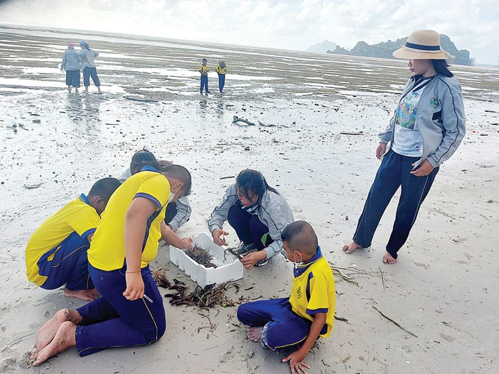 สดจากเยาวชน - เด็กตรังรักษ์พะยูน ร่วมปลูกหญ้าทะเล