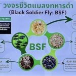 ‘ศฝท.ยศ.ทร.’ ร่วมเปิดโครงการ จัดการขยะมูลฝอย แหล่งกำเนิดยั่งยืน-จัดการอินทรีย์