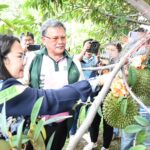 รษก.อธิการบดี ม.เกษตรฯ ตัด-ปลอกทุเรียน 5 สายพันธุ์แปลงสาธิตทดลองปลูกกลางกรุง