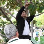รษก.อธิการบดี ม.เกษตรฯ ตัด-ปลอกทุเรียน 5 สายพันธุ์แปลงสาธิตทดลองปลูกกลางกรุง