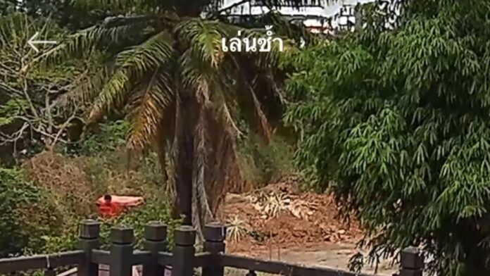 ภาพวงจรปิดภาพนาทีชีวิต หนุ่มบุรีรัมย์ ดวงดับ แท่นบังคับบุ้งกี้แบคโฮทับร่าง