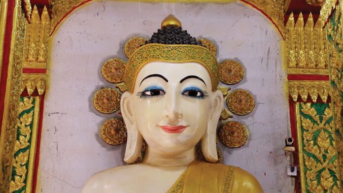 ชวนกันมาพากันมู(เตลู)
