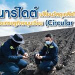 56 ปี กฟผ. สานต่อพลังงานไทยสู่อนาคตพลังงานสีเขียว ให้เหมาะสมกับโลก มั่นคงกับระบบไฟฟ้าของคนไทย