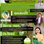 รมว.นฤมล เผย เตรียม kick off มอบโฉนดต้นไม้-ต้นยางพารา 12 พ.ค.นี้