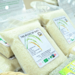 คต. ดันข้าวไทยสู่ตลาดโลก ผนึกผู้ค้ารายย่อยใน THAIFEX 2025