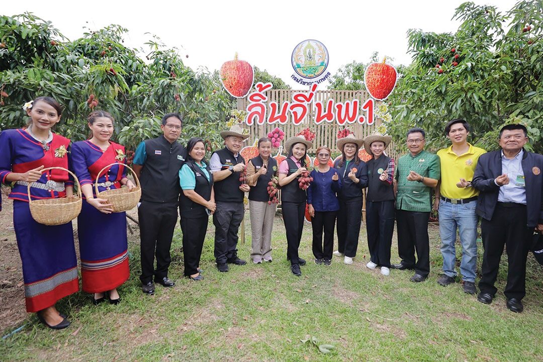 หลาก&หลายเกษตร - ‘นฤมล’ชมแปลงใหญ่ลิ้นจี่นพ.1 สร้างชื่อเสียง-รายได้เกษตรกรปีละเป็นล้าน