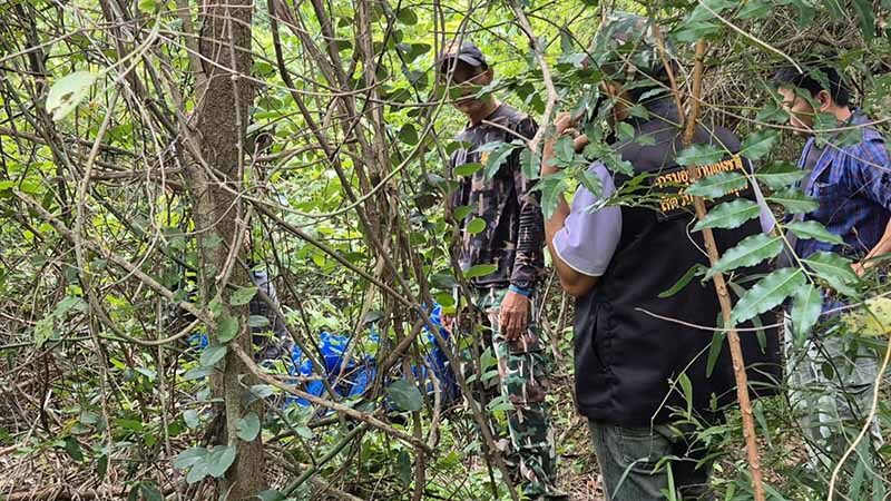 Abandoned macaques found in Thai forest, suspected for illegal sale | News by Thaiger