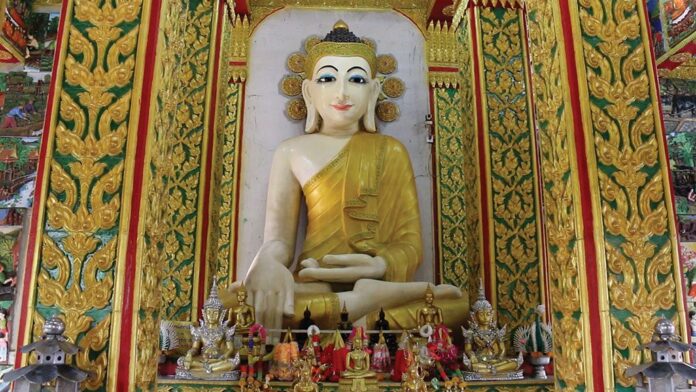 ชวนกันมาพากันมู(เตลู)