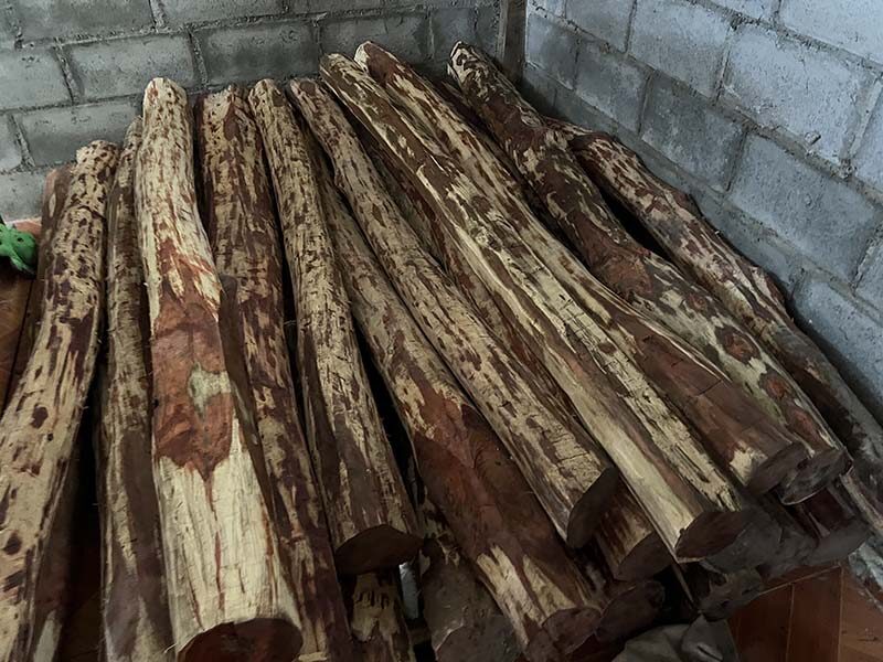 Two arrested in Chachoengsao for hiding Siamese rosewood worth nearly 1 million baht | News by Thaiger