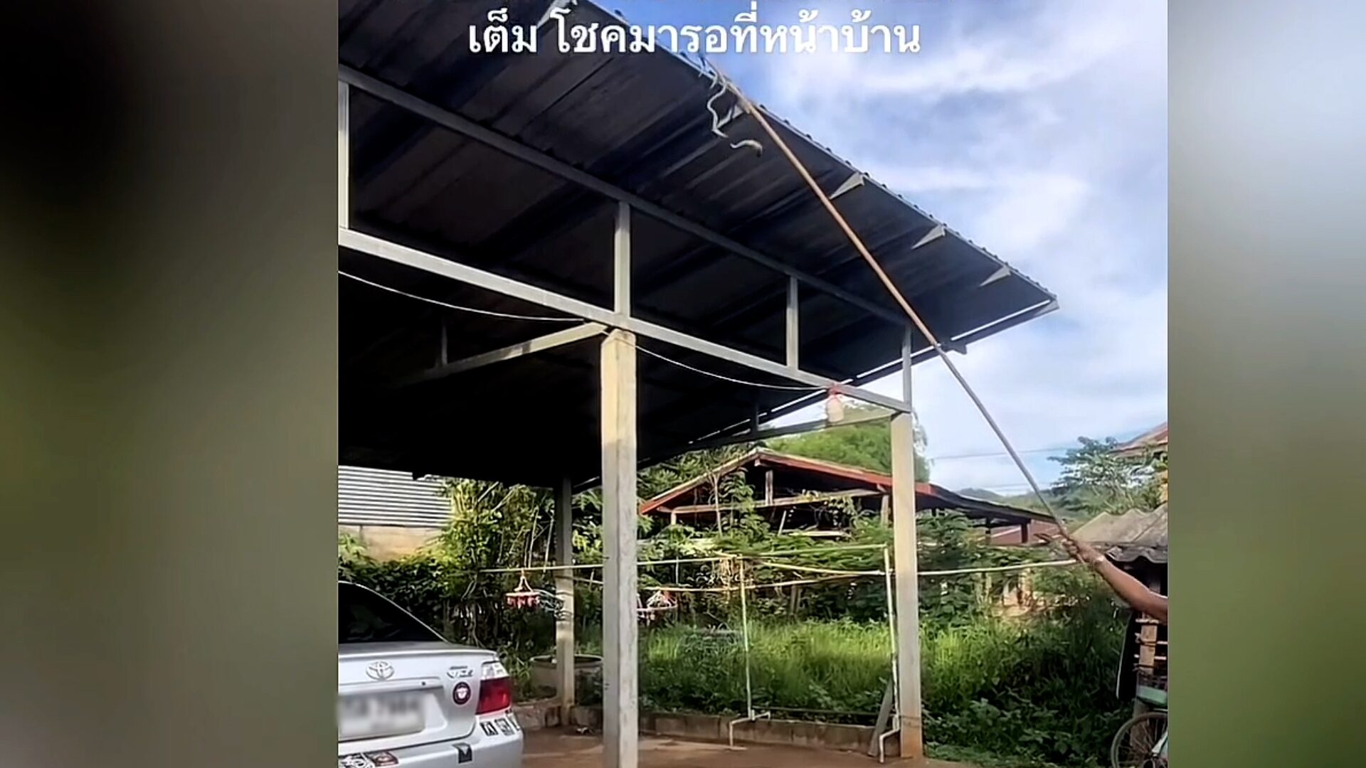 Phetchabun homeowner bets on car number after snake omen | News by Thaiger
