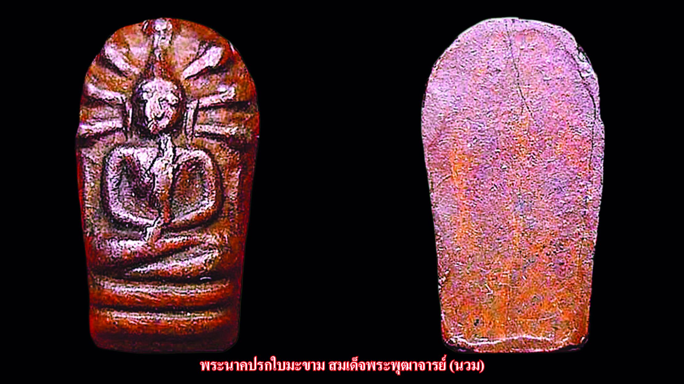  รอบด้านวงการพระ - เหรียญสมเด็จพระมหาสมณเจ้า พ.ศ.2463 / เหรียญหลวงพ่อรุ่ง / พระนาคปรกใบมะขาม สมเด็จพระพุฒาจารย์ (นวม)